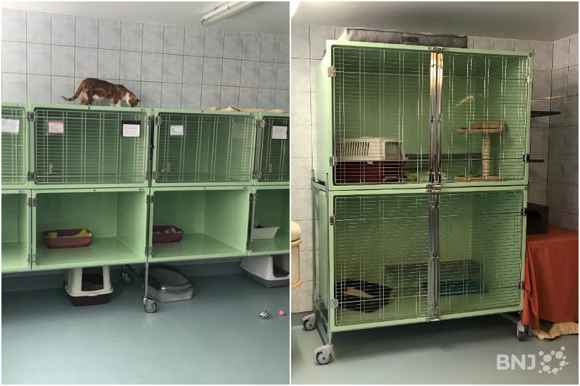 Les cages qui n'étaient pas aux normes (à gauche) ont été remplacées par des modèles plus grands.