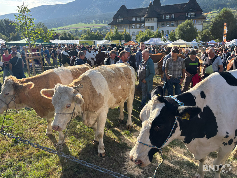 Le champ de foire n'était pas complet ce lundi à Reconvilier. Plusieurs éleveurs bovins n'ont pas rallié la Foire de Chaindon.