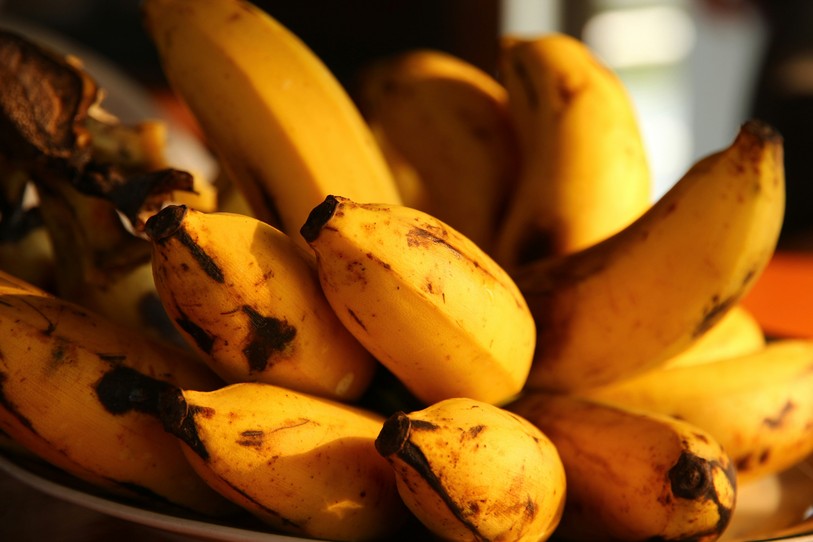 Image prétexte de bananes. Source : Unsplash