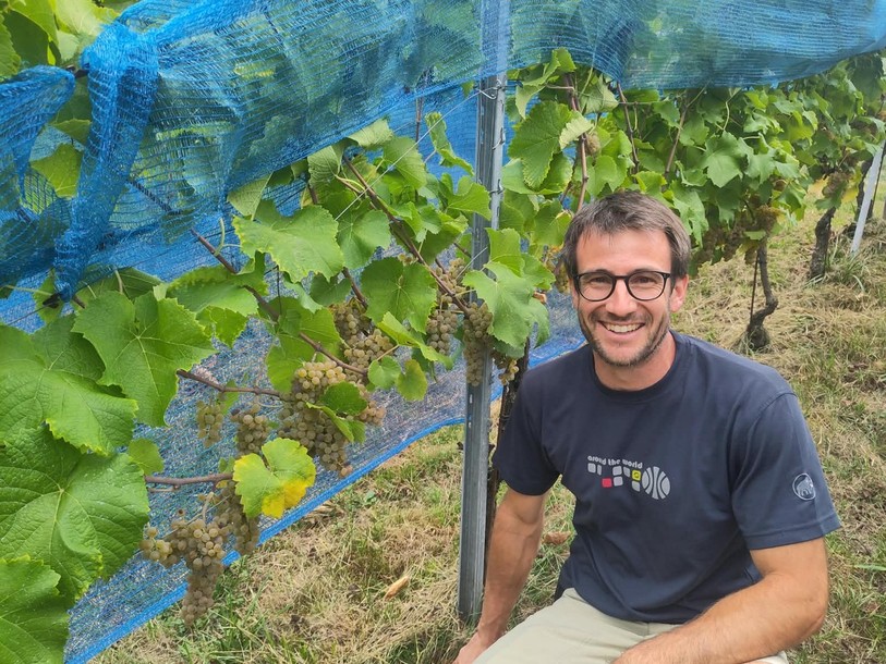 Aurélien Lovy au milieu de son vignoble de Courfaivre