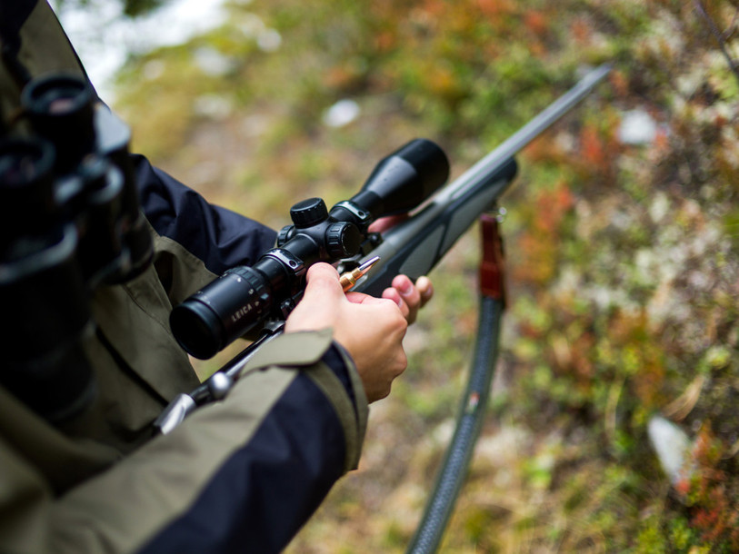 La chasse est ouverte depuis samedi dans le Jura. (Photo : KEYSTONE / OLIVIER MAIRE)