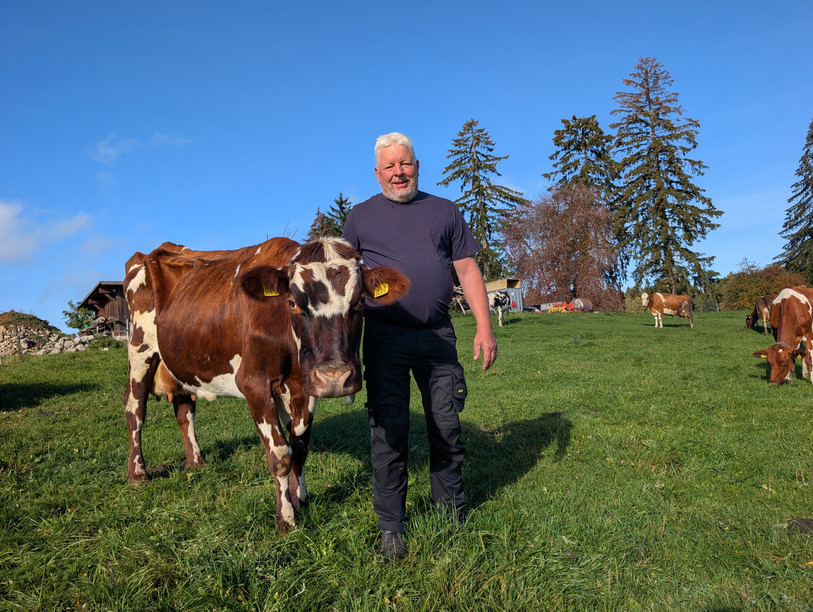 Saturne, ici en compagnie de l'agriculteur Patrick Frutschi, est encore très affaiblie par la naissance de ses trois petits veaux.