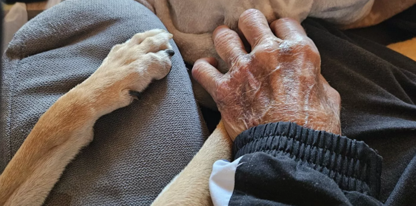 Entre l’animal et le résident, une relation peut parfois se tisser bien au-delà des mots. Source : Alicia Wicky
