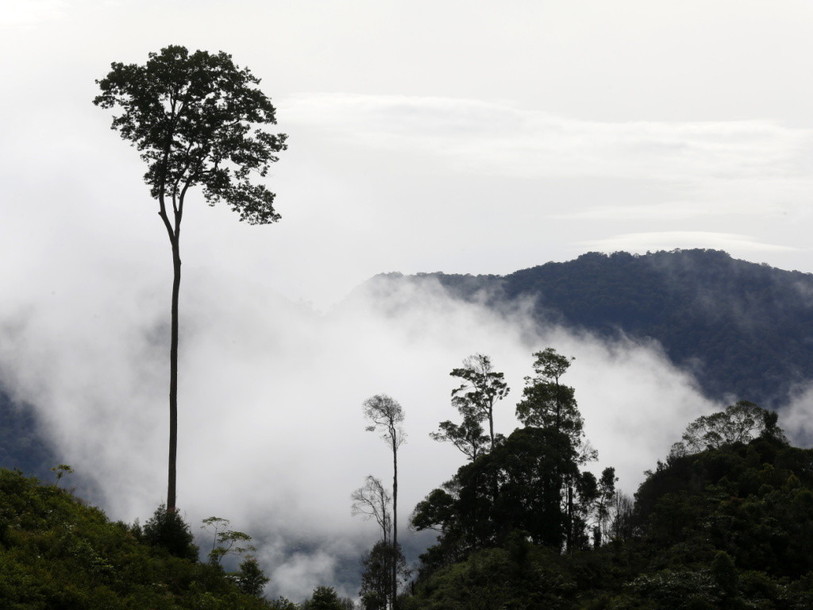Photo: KEYSTONE/EPA/HOTLI SIMANJUNTAK