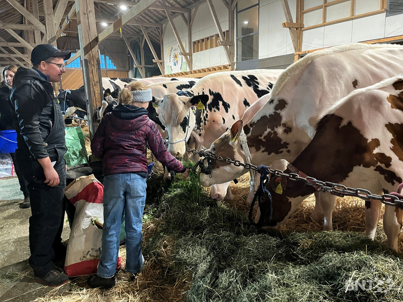 La Junior Arc Expo vit sa dernière édition à la Halle-Cantine du Marché-Concours de Saignelégier.