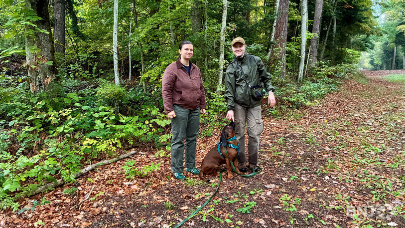 Theresa Marxer et Louise Bitterli (accompagnée du jeune Balrog) ont commencé leur formation de chasseresses au mois de septembre.