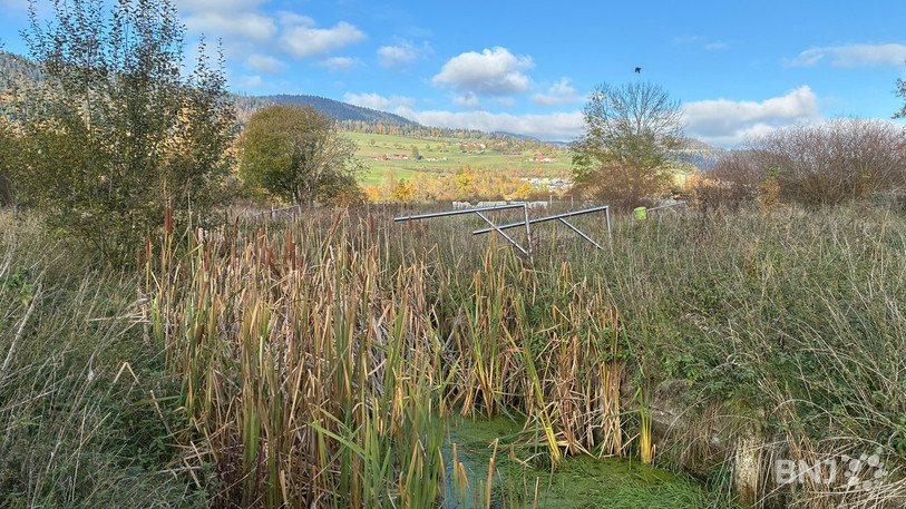 Grâce à une sélection de plantes spécifiques, les bassins non exploités servent de station de pompage naturelle pour les eaux souillées de la pisciculture.