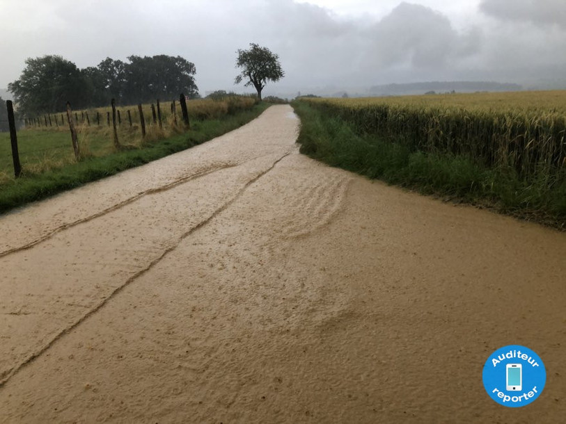 Des chemins ajoulots ont été submergés par les eaux.