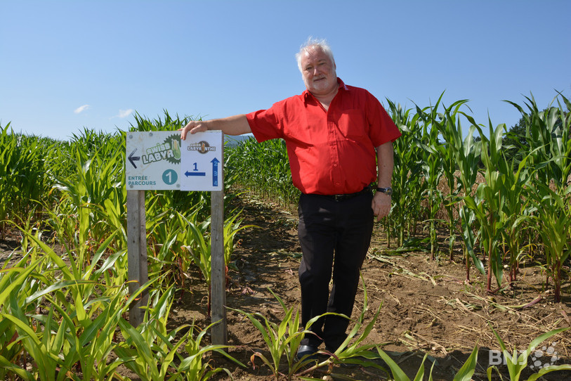 Bien arrosé ces derniers temps, le maïs pourrait pousser de 10 centimètres par jour si le soleil est de la partie. De quoi se perdre entre les épis, selon Guy Rossé, directeur de la Croisée des Loisirs.