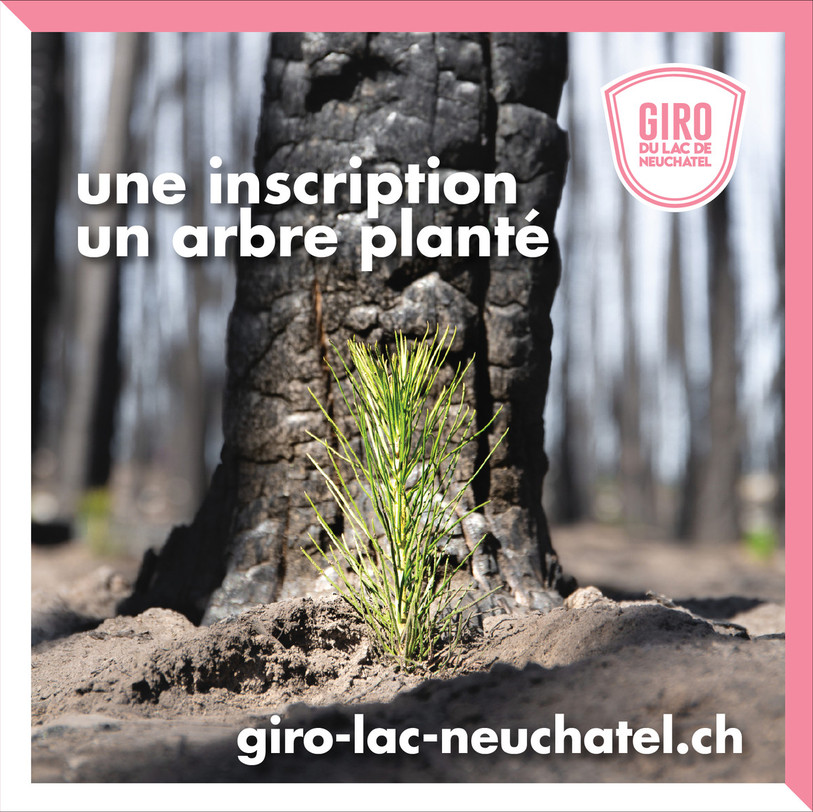 Pour chaque inscription, les organisateurs s'engagent à planter un arbre. (Photo : Giro du lac)