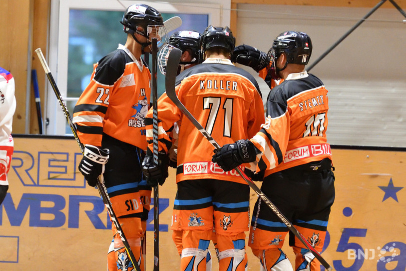 Les Rossignols grimpent au sommet de la hiérarchie en ligue nationale A d'inline hockey. (Photo : archives).