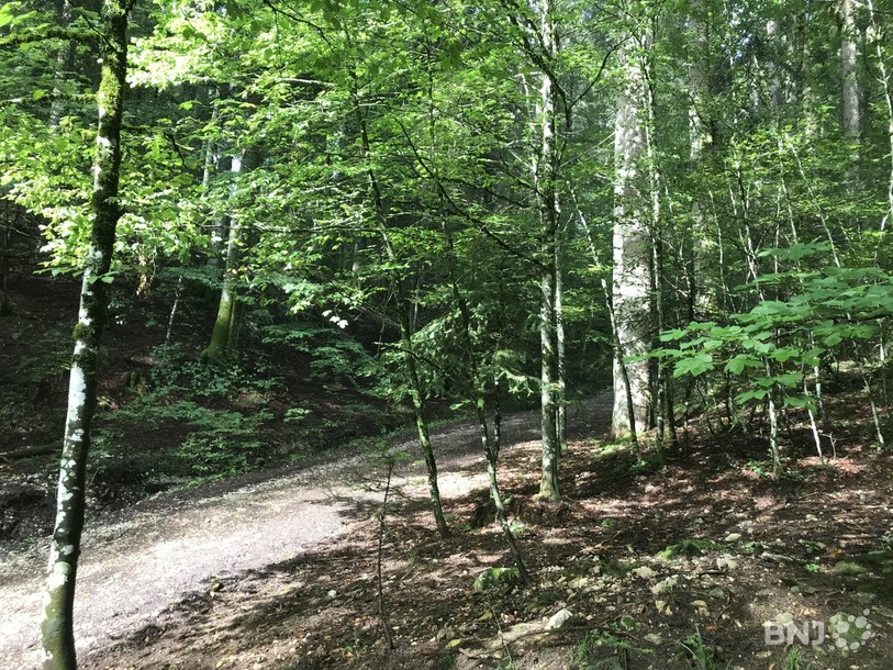 Il est interdit de se débarrasser de ses déchets carnés dans la nature.
