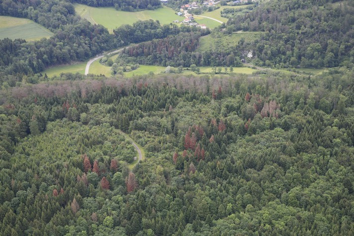 Photo prétexte (photo : canton du Jura).