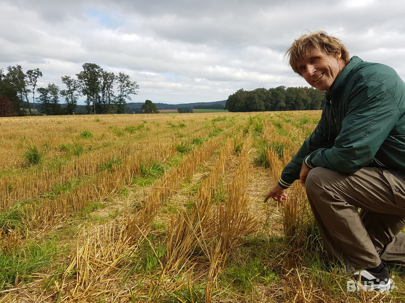 Jean-Bernard Chavanne a opté pour deux parcelles de céréales clairsemées sur les hauteurs de Coeuve.