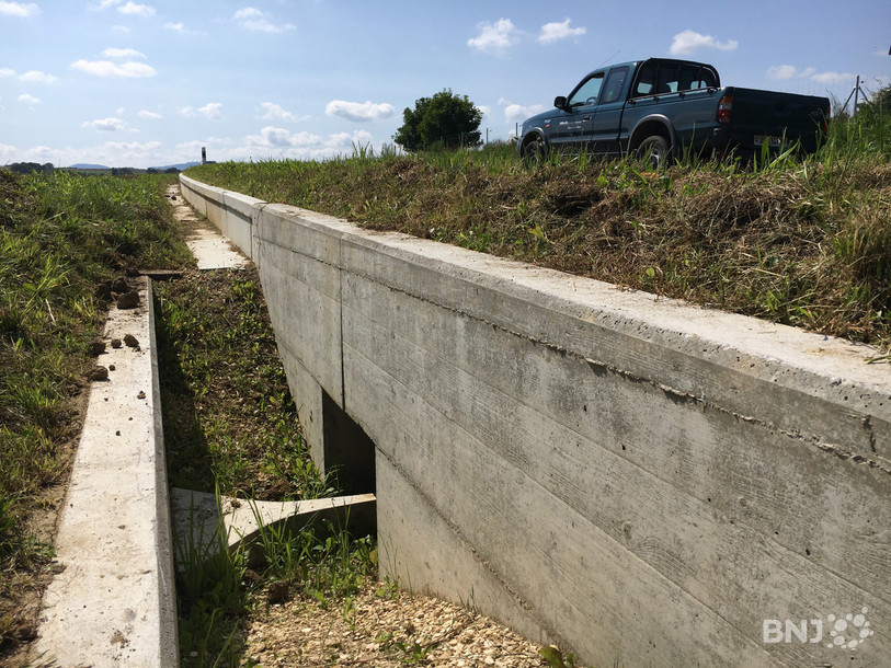 Huit passages sous la route principale permettent aux batraciens de traverser en toute sécurité.