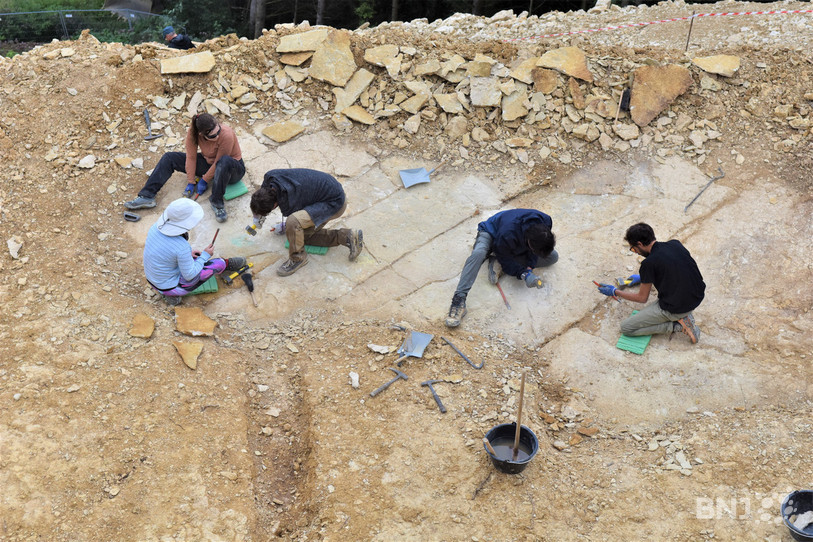 Les chercheurs scrutent minutieusement le sol à la recherche de traces de dinosaures fossilisées. Le chantier permet aux étudiants d'acquérir des connaissances pratiques sur le terrain et ainsi parfaire leur formation de paléontologue.