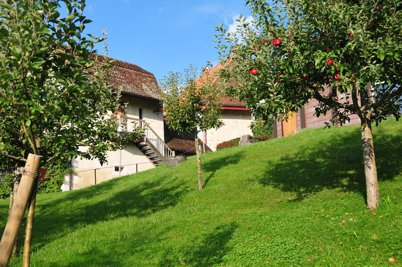 Le Parc Chasseral recherche des vergers sur son territoire pour y cueillir des pommes. (Photo : Parc Chasseral)
