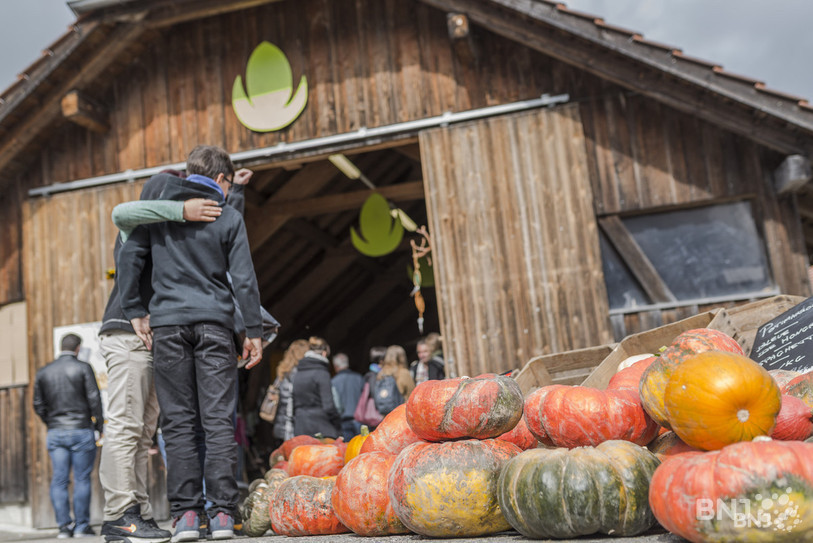 Le Marché bio ne pourra pas accueillir plus de 1'000 visiteurs en simultané (photo : archives/Jonathan Vallat).