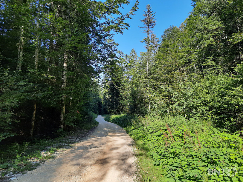 Le chemin de la Combe Tabeillon