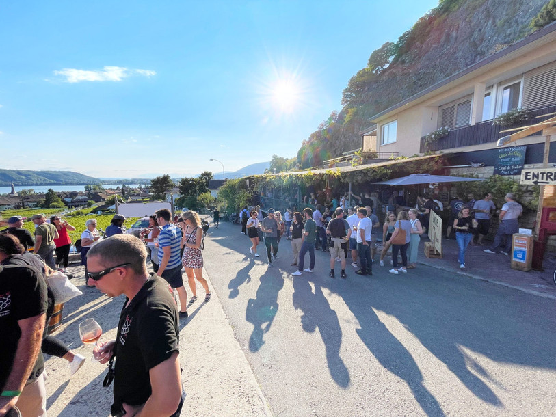 Du soleil et du vin : combinaison gagnante pour un week-end réussi entre La Neuveville et Chavannes. (Photo : Pierrick Veya)