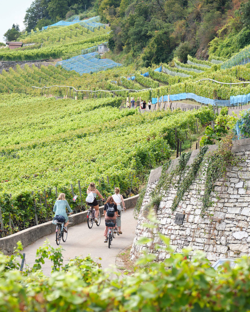Une manière douce de découvrir le vignoble régional. (Photo : Pierrick Veya)