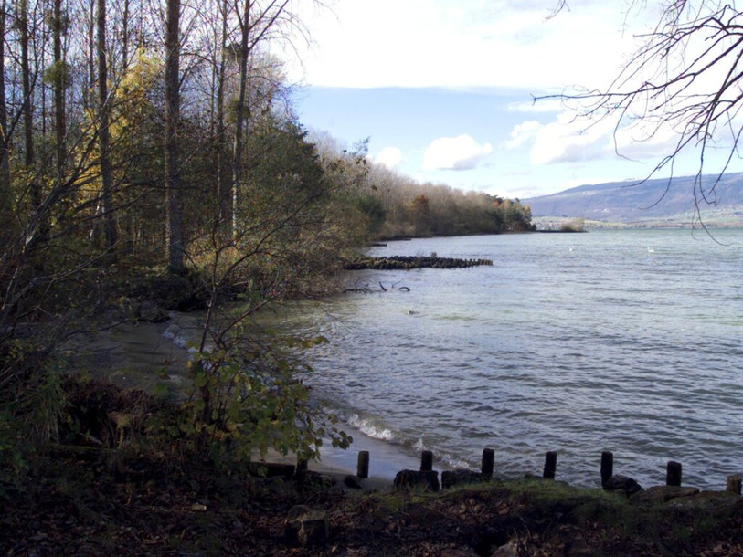 Le corps de la victime avait été retrouvé en 2018 dans une zone marécageuse du lac de Neuchâtel. (Photo : KEYSTONE/SANDRO CAMPARDO)