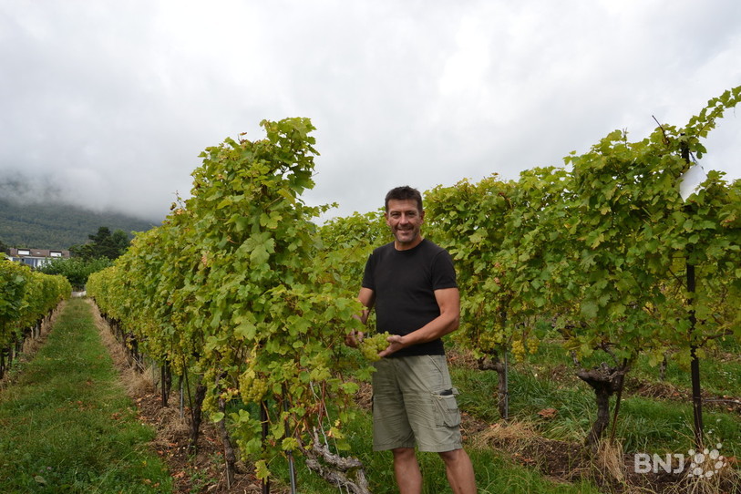 Dimitri Engel, vigneron à Saint-Blaise, se prépare pour le jour J, celui des vendanges. Comme les autres vignerons de la région, il a travaillé d'arrache-pied pour éviter que le mildiou ne s'attaque à toute sa production.