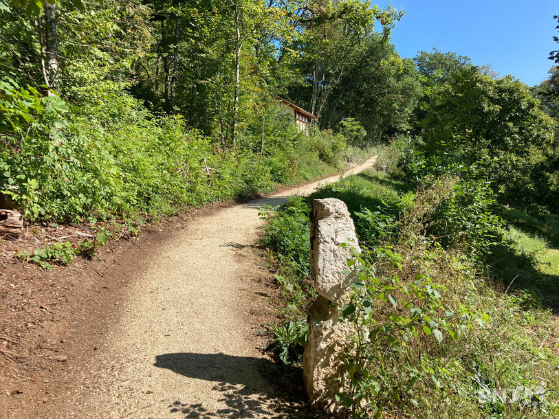 Un nouveau sentier a été tracé entre le Jardin botanique et le Centre Dürrenmatt.