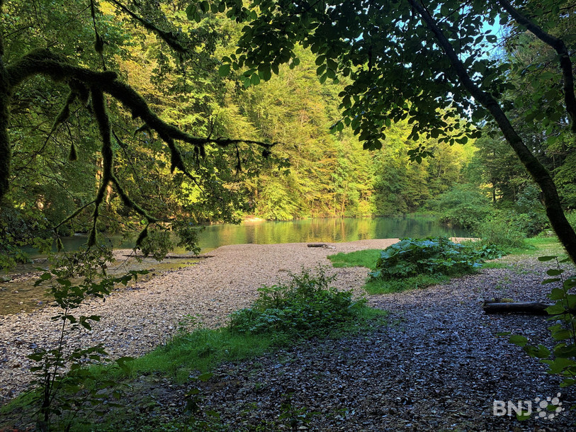 Le lac vert d’Undervelier a vu sa fréquentation fortement augmenter ces dernières années à en croire les mémoires du village.