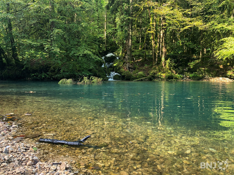 Le Lac vert, à Undervelier, porte bien son nom.