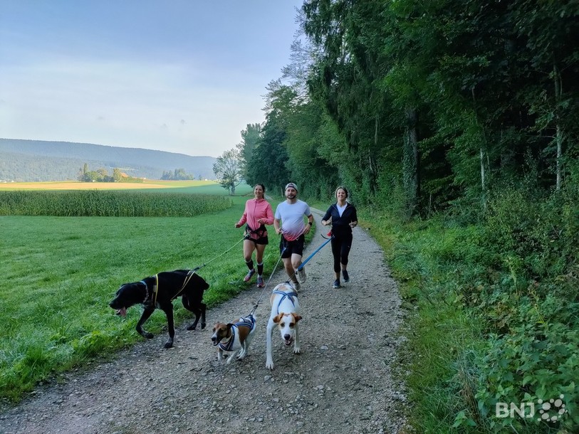 Les Neuchâtelois Véronique Barette ainsi que Julien et Stéphanie Mosimann sont des passionnés de canicross.