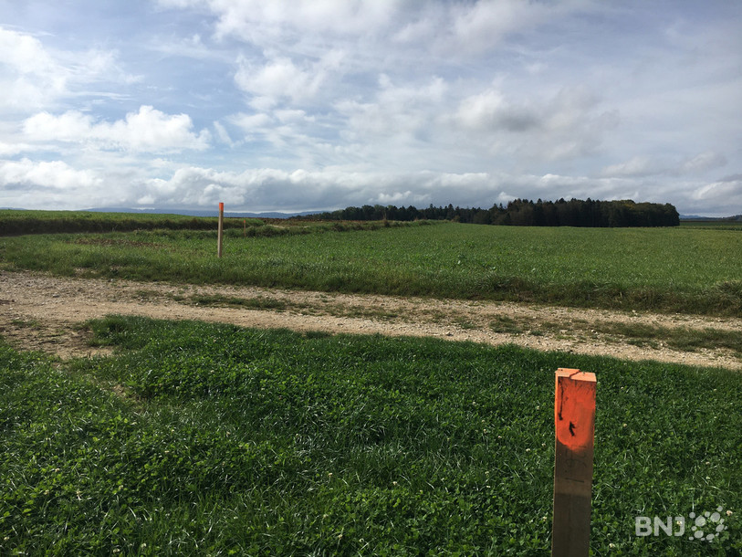 Ces piquets délimitent les futures parcelles des agriculteurs de Bonfol.