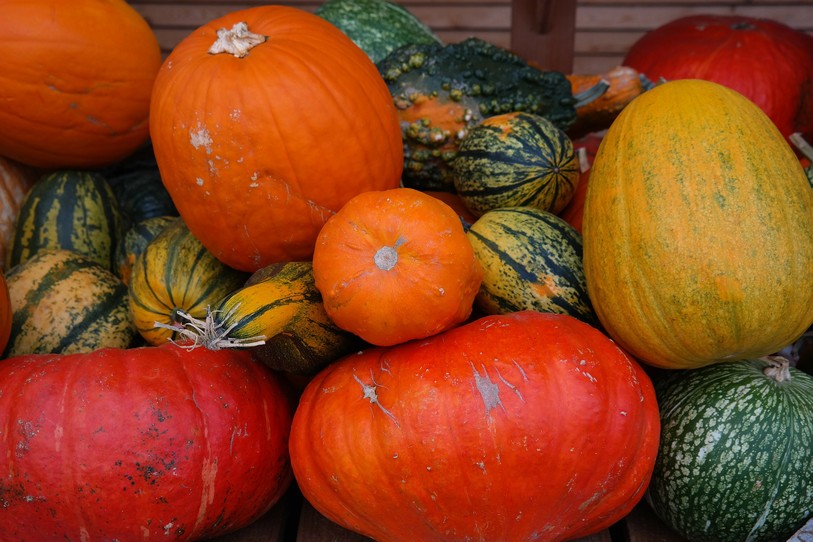 courges