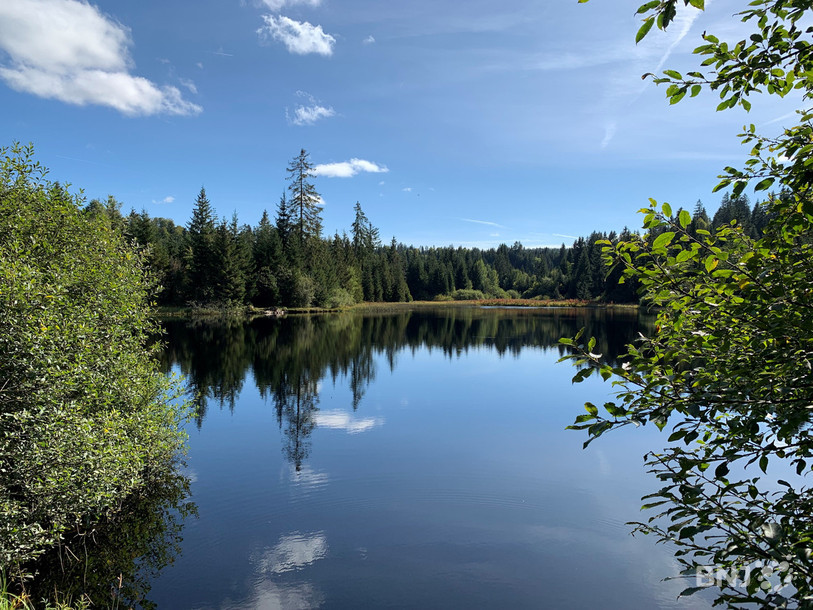 L'étang des Royes, à Saignelégier.