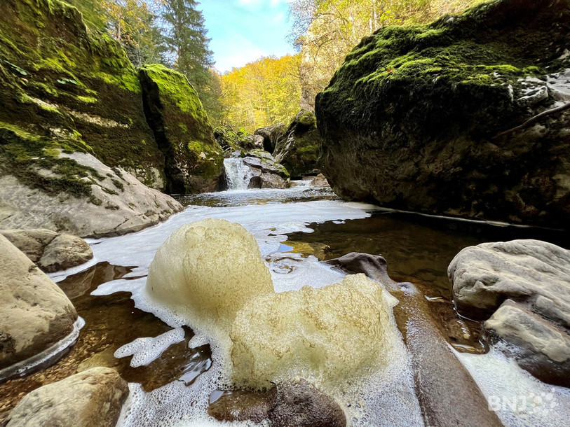 Des mousses peuvent être actuellement observées en surface de l'eau dans les gorges de l'Areuse. Il ne s'agit pas d'une pollution mais d'un phénomène naturel.