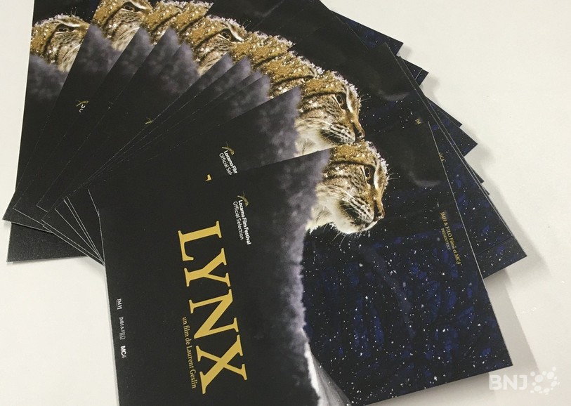 Lynx, c'est le film de Florence Adam, l'invitée des gourmands du matin.