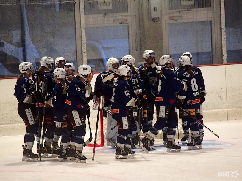 La Neuchâtel Hockey Academy engrange de nombreux points avec ses victoires. (Photo: archives)