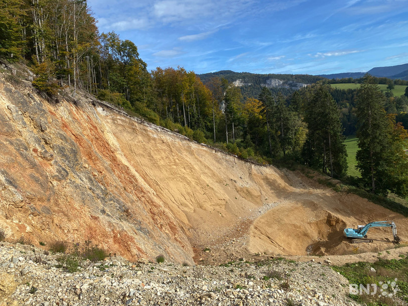La carrière au lieu-dit Côte Picard a dévoilé des traces de sauropodes.