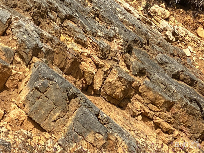 Les couches de roches apparaissent clairement dans la carrière, mais difficile d'identifier des traces de dinosaures sans un regard expert.