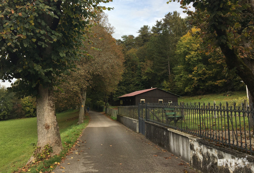 Le chemin qui part sur la gauche depuis la chapelle de Lorette plonge le promeneur dans les couleurs automnales de la forêt bruntrutaine.
