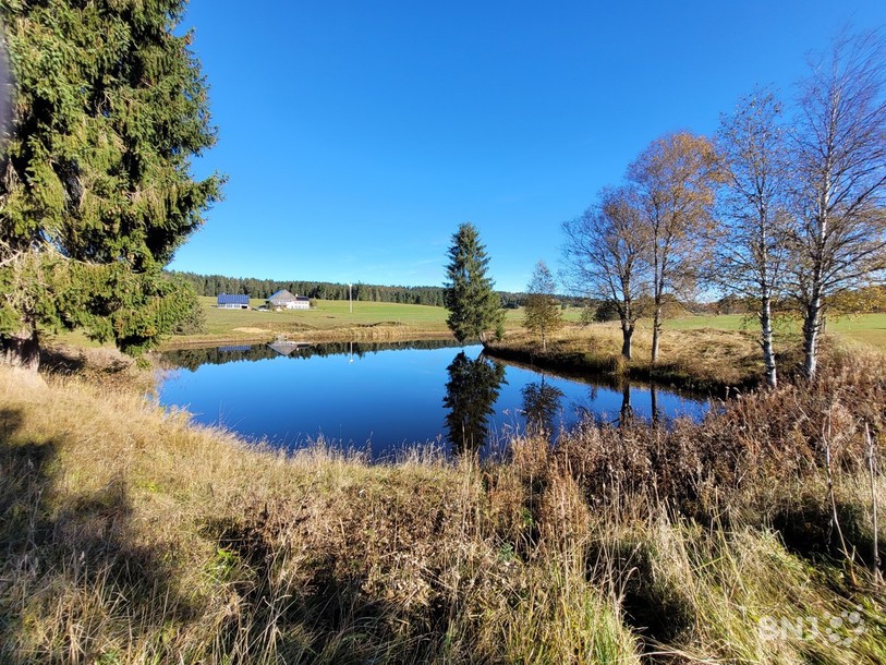 L'étang de la Chaux-d'Abel, que notre guide appelle plutôt « lac ».