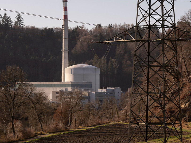 Le renforcement des services énergétiques - activité pour laquelle BKW a procédé à de nombreuses acquisitions ces dernières années - doit notamment soutenir la performance du groupe. (Photo : archives KEYSTONE / Christian Beutler).