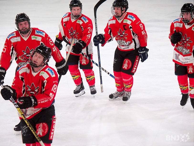 Les Stelliens mènent une victoire à zéro dans la série (photo:archives)