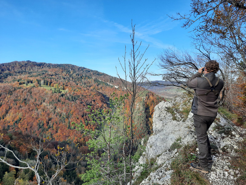 Lucas Wolfer observe la nature... à la recherche notamment des chamois.
