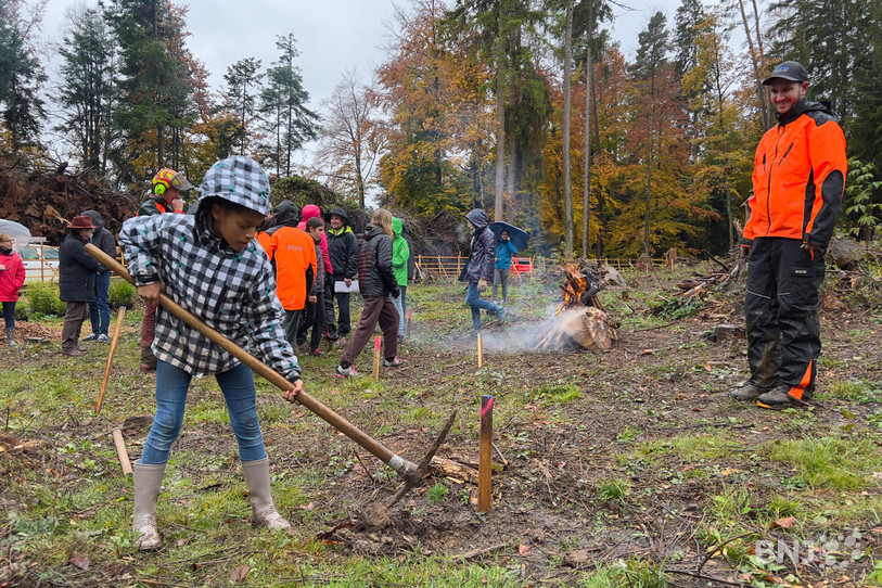 Malgré la pluie, les élèves du collège des Safrières ont mis du cœur à l'ouvrage.