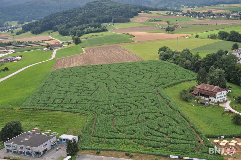 Le labyrinthe vu du ciel