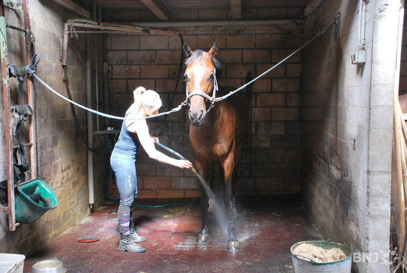 hippisme