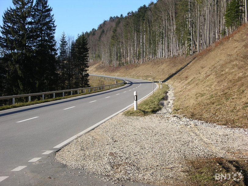 Route d'automne
