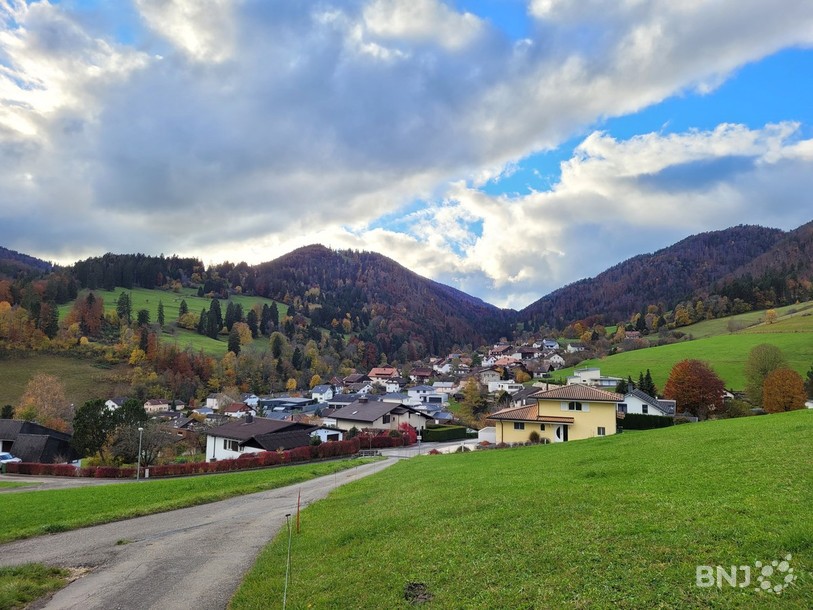 La vue sur Perrefitte depuis l'est du village.
