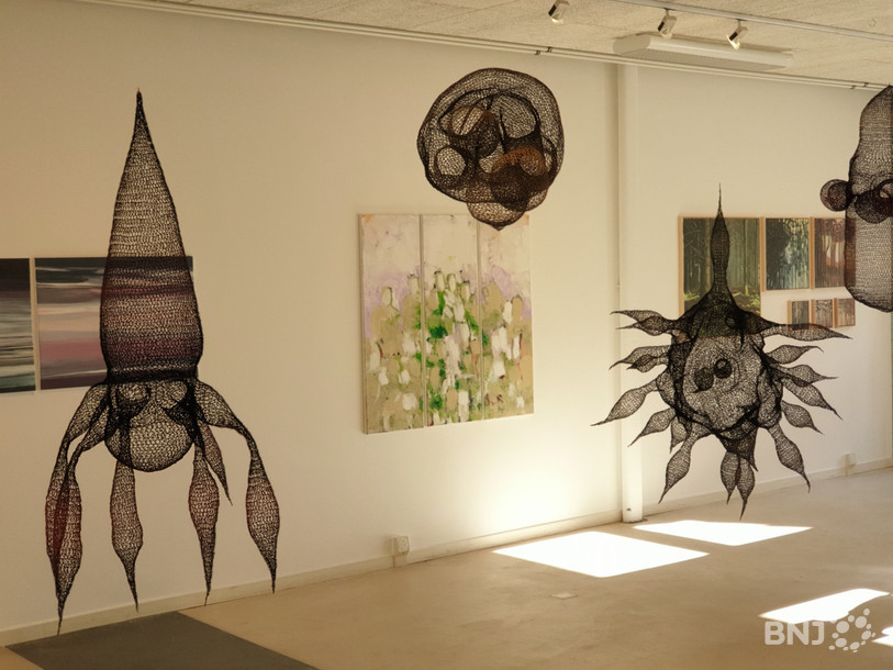 Les sculptures flottantes d'Isabelle Hofer-Margraitner.